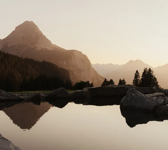 Handgemachte Einmachgläser mit fermentierten Beeren, Kräutern und alpinen Zutaten auf rustikalem Holzregal im eriro Alpine Hide – kulinarische Handwerkskunst